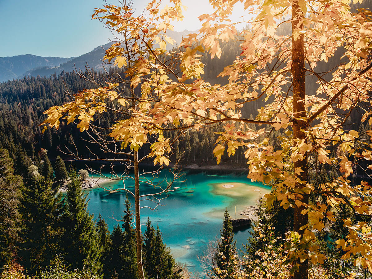 Foto der Schweizer Berglandschaft