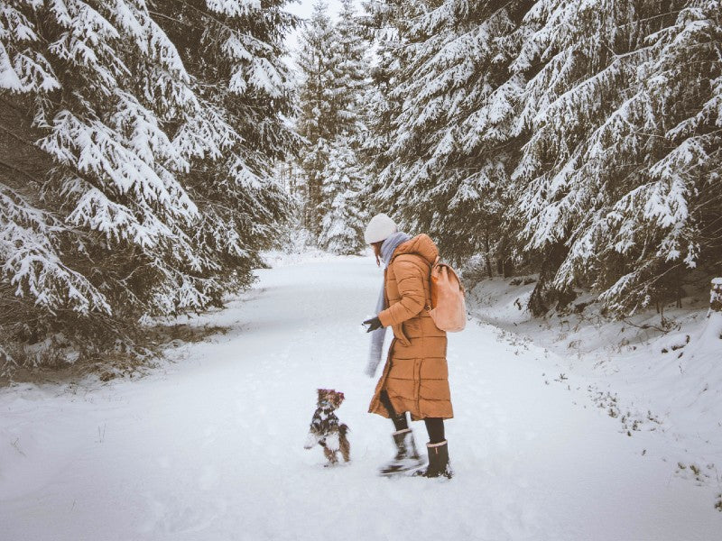 Frau mit Hund auf einem Spaziergang durch einen verschneiten Wald