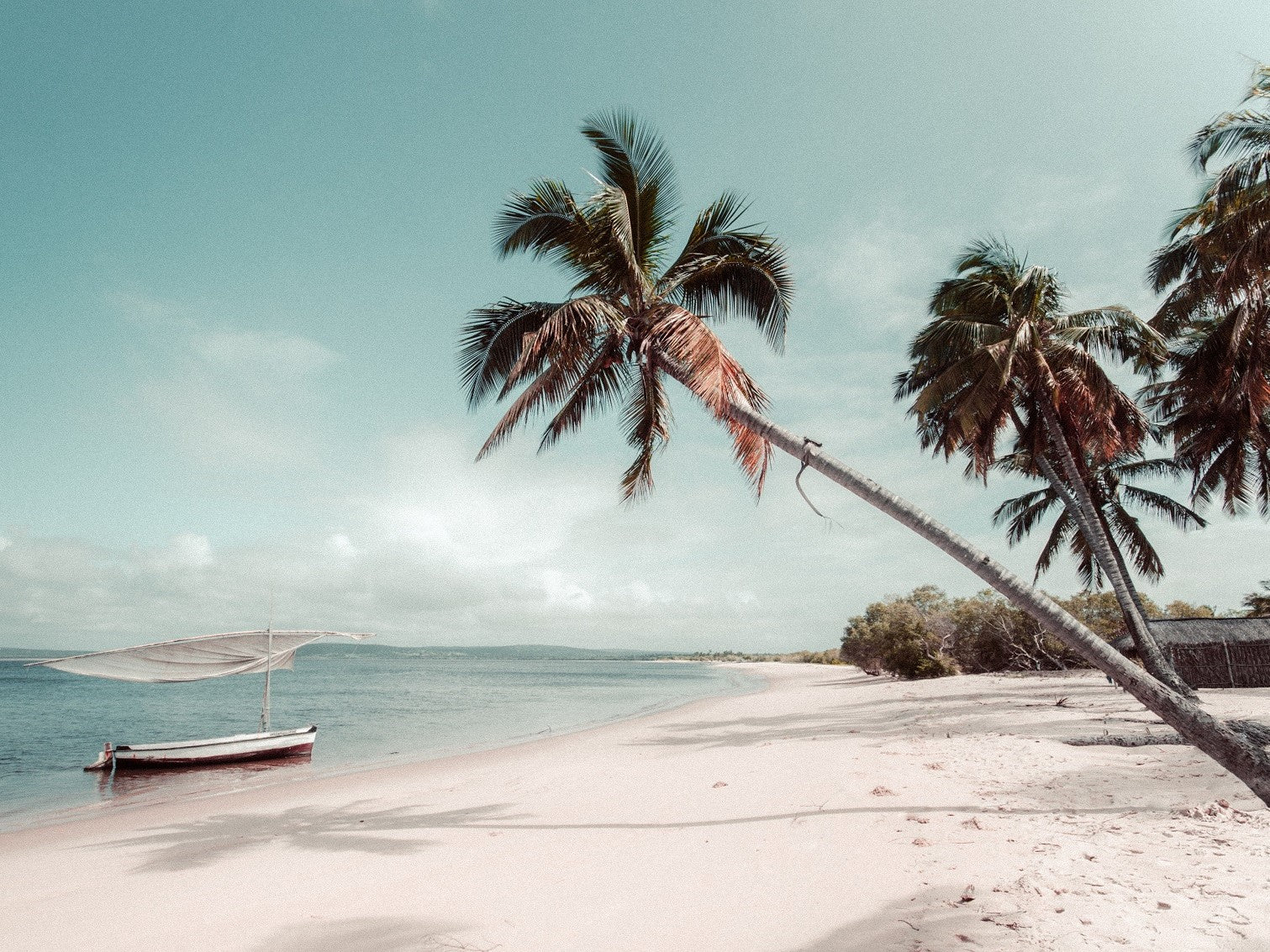 Ein tropischer Strand mit Palmen und einem Boot