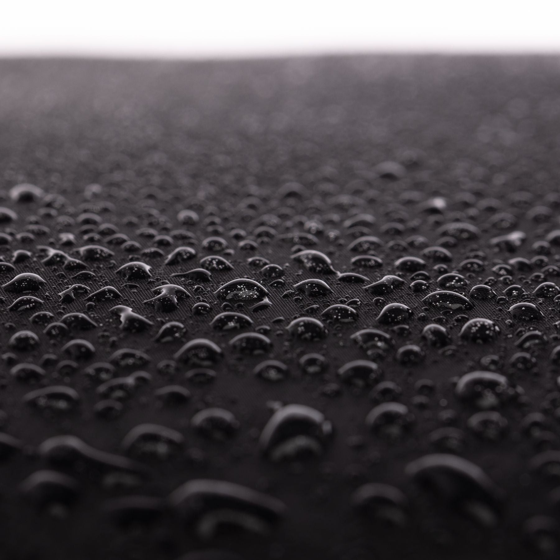 SONS OF ALOHA Rucksack schwarz Kane Skate-Backpack 45393